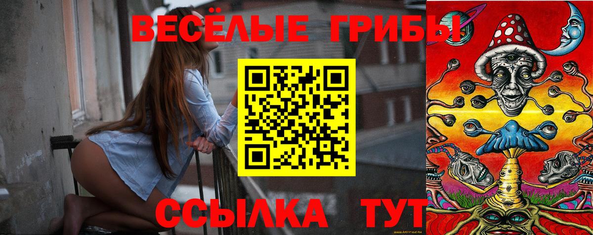 Бугульма  Псилоцибиновые грибы мицелий  Вход с VPN  Псилоцибиновые грибы прущие грибы 