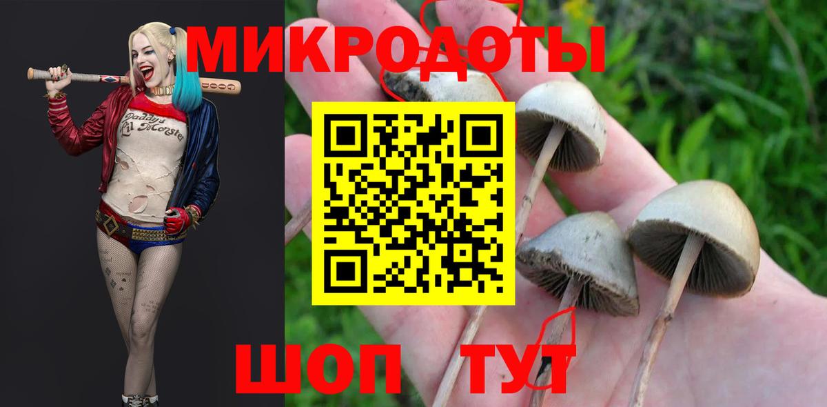 Галлюциногенные грибы Cubensis Бугульма